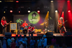 21.06. Andi & die Affenbande (Fotos: Jörg Zogel)