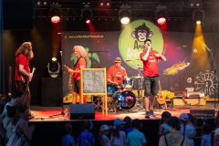 2026-06-21-ANDI-und-die-Affenbande-zogel-03